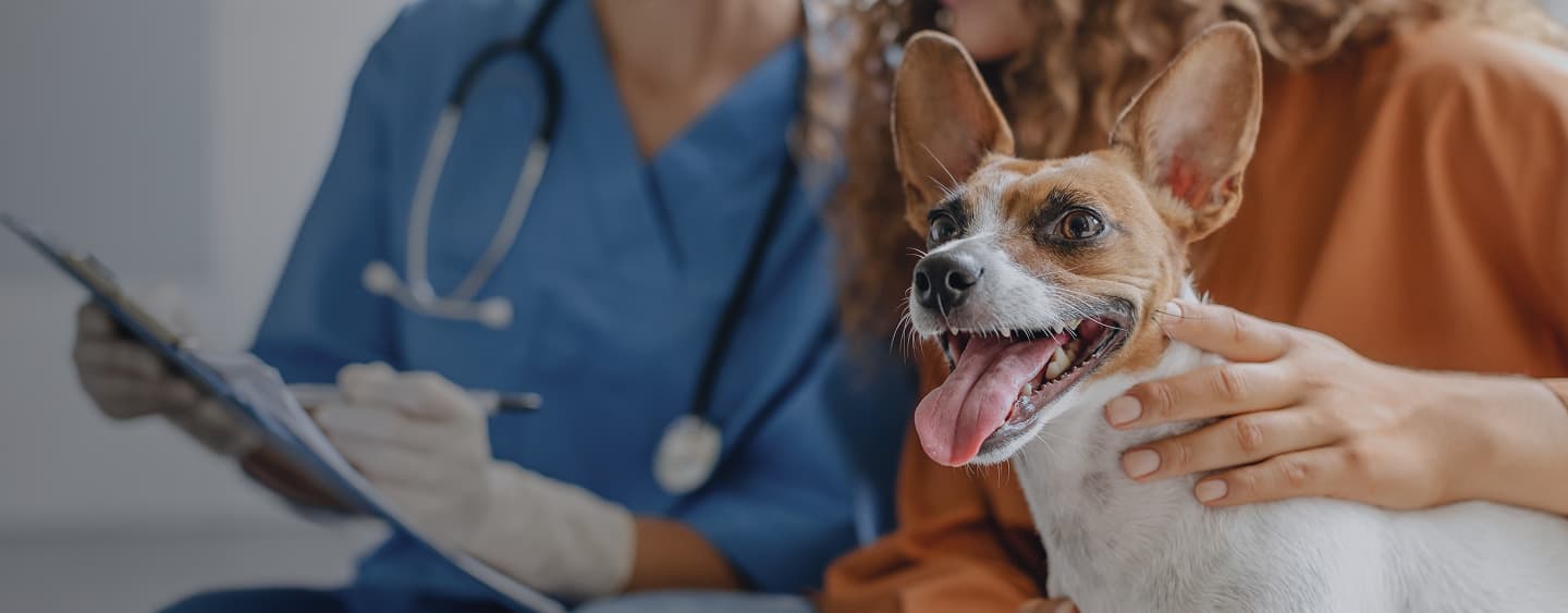 Complete Forms Ahead of Your Visit